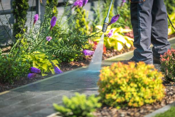 Best Driveway Pressure Washing  in North Warren, PA